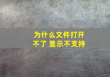 为什么文件打开不了 显示不支持